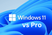 Windows 11 Home and Windows 11 Pro
