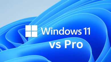 Windows 11 Home and Windows 11 Pro